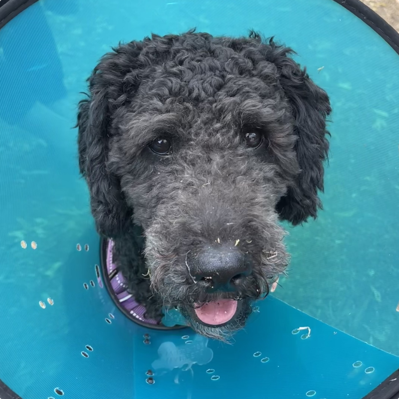 AlbieTheIntern